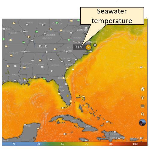 Layer Seawater temperature